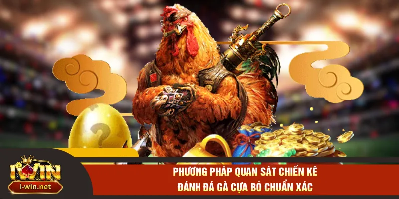 Phương pháp quan sát chiến kê đánh đá gà cựa bò chuẩn xác