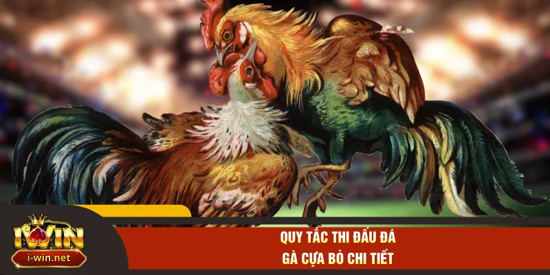 Quy tắc thi đấu đá gà cựa bò chi tiết